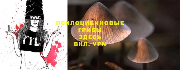 прущая мука Протвино