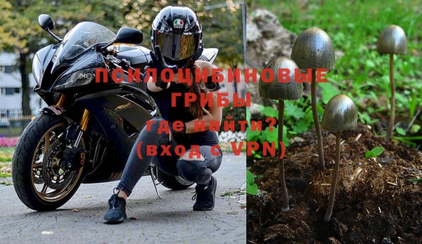 гидра Алексин