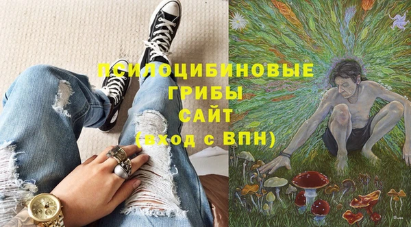 дмт Алексеевка