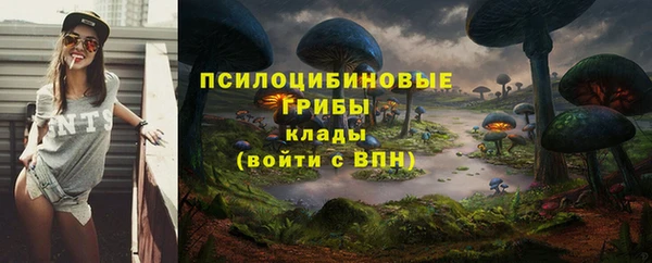дмт Алексеевка