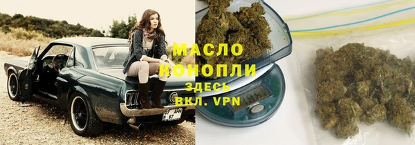 дмт Алексеевка