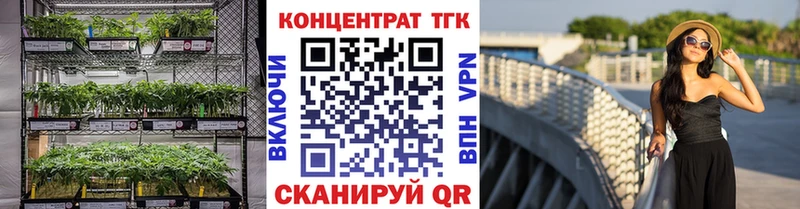 OMG tor  Любим  ТГК жижа 