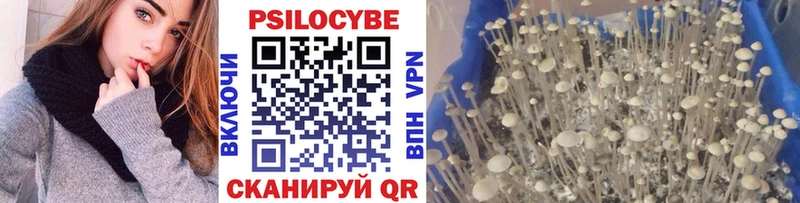Галлюциногенные грибы Cubensis что такое наркотик Любим